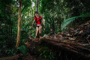 BIB: 
                            <button type="button" onclick="openModal(26425041)" class="btn btn-primary btn-sm float-right btn-popup" data-toggle="modal" data-target=".modal-high-quality">
                        <i class="fas fa-shopping-cart"></i> Add to Cart
                    </button>
                                            <button type="button" onclick="isThisMe(26425041, true)" class="btn btn-success btn-sm float-right btn-popup btn-isme hidden" data-toggle="tooltip" data-placement="bottom" title="นี่คือรูปของคุณใช่ไหม คลิกที่นี่เพื่อเอาเข้าอัลบั้ม">
                        <i class="fas fa-plus"></i> Add to album
                    </button>
                    <button type="button" onclick="isThisMe(26425041, false)" class="btn btn-warning btn-sm float-right btn-popup btn-isnotme hidden">
                        <i class="fas fa-ban"></i> Remove from album
                    </button>