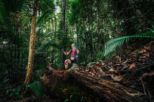 BIB: 
                            <button type="button" onclick="openModal(26425941)" class="btn btn-primary btn-sm float-right btn-popup" data-toggle="modal" data-target=".modal-high-quality">
                        <i class="fas fa-shopping-cart"></i> Add to Cart
                    </button>
                                            <button type="button" onclick="isThisMe(26425941, true)" class="btn btn-success btn-sm float-right btn-popup btn-isme hidden" data-toggle="tooltip" data-placement="bottom" title="นี่คือรูปของคุณใช่ไหม คลิกที่นี่เพื่อเอาเข้าอัลบั้ม">
                        <i class="fas fa-plus"></i> Add to album
                    </button>
                    <button type="button" onclick="isThisMe(26425941, false)" class="btn btn-warning btn-sm float-right btn-popup btn-isnotme hidden">
                        <i class="fas fa-ban"></i> Remove from album
                    </button>