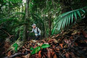 BIB: 
                            <button type="button" onclick="openModal(26430124)" class="btn btn-primary btn-sm float-right btn-popup" data-toggle="modal" data-target=".modal-high-quality">
                        <i class="fas fa-shopping-cart"></i> Add to Cart
                    </button>
                                            <button type="button" onclick="isThisMe(26430124, true)" class="btn btn-success btn-sm float-right btn-popup btn-isme hidden" data-toggle="tooltip" data-placement="bottom" title="นี่คือรูปของคุณใช่ไหม คลิกที่นี่เพื่อเอาเข้าอัลบั้ม">
                        <i class="fas fa-plus"></i> Add to album
                    </button>
                    <button type="button" onclick="isThisMe(26430124, false)" class="btn btn-warning btn-sm float-right btn-popup btn-isnotme hidden">
                        <i class="fas fa-ban"></i> Remove from album
                    </button>