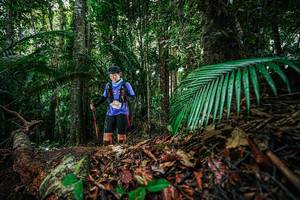 BIB: 
                            <button type="button" onclick="openModal(26430091)" class="btn btn-primary btn-sm float-right btn-popup" data-toggle="modal" data-target=".modal-high-quality">
                        <i class="fas fa-shopping-cart"></i> Add to Cart
                    </button>
                                            <button type="button" onclick="isThisMe(26430091, true)" class="btn btn-success btn-sm float-right btn-popup btn-isme hidden" data-toggle="tooltip" data-placement="bottom" title="นี่คือรูปของคุณใช่ไหม คลิกที่นี่เพื่อเอาเข้าอัลบั้ม">
                        <i class="fas fa-plus"></i> Add to album
                    </button>
                    <button type="button" onclick="isThisMe(26430091, false)" class="btn btn-warning btn-sm float-right btn-popup btn-isnotme hidden">
                        <i class="fas fa-ban"></i> Remove from album
                    </button>