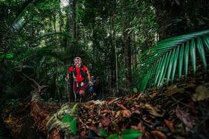 BIB: 
                            <button type="button" onclick="openModal(26428902)" class="btn btn-primary btn-sm float-right btn-popup" data-toggle="modal" data-target=".modal-high-quality">
                        <i class="fas fa-shopping-cart"></i> Add to Cart
                    </button>
                                            <button type="button" onclick="isThisMe(26428902, true)" class="btn btn-success btn-sm float-right btn-popup btn-isme hidden" data-toggle="tooltip" data-placement="bottom" title="นี่คือรูปของคุณใช่ไหม คลิกที่นี่เพื่อเอาเข้าอัลบั้ม">
                        <i class="fas fa-plus"></i> Add to album
                    </button>
                    <button type="button" onclick="isThisMe(26428902, false)" class="btn btn-warning btn-sm float-right btn-popup btn-isnotme hidden">
                        <i class="fas fa-ban"></i> Remove from album
                    </button>