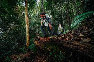 BIB: 
                            <button type="button" onclick="openModal(26426248)" class="btn btn-primary btn-sm float-right btn-popup" data-toggle="modal" data-target=".modal-high-quality">
                        <i class="fas fa-shopping-cart"></i> Add to Cart
                    </button>
                                            <button type="button" onclick="isThisMe(26426248, true)" class="btn btn-success btn-sm float-right btn-popup btn-isme hidden" data-toggle="tooltip" data-placement="bottom" title="นี่คือรูปของคุณใช่ไหม คลิกที่นี่เพื่อเอาเข้าอัลบั้ม">
                        <i class="fas fa-plus"></i> Add to album
                    </button>
                    <button type="button" onclick="isThisMe(26426248, false)" class="btn btn-warning btn-sm float-right btn-popup btn-isnotme hidden">
                        <i class="fas fa-ban"></i> Remove from album
                    </button>