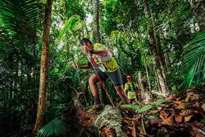 BIB: 
                            <button type="button" onclick="openModal(26421532)" class="btn btn-primary btn-sm float-right btn-popup" data-toggle="modal" data-target=".modal-high-quality">
                        <i class="fas fa-shopping-cart"></i> Add to Cart
                    </button>
                                            <button type="button" onclick="isThisMe(26421532, true)" class="btn btn-success btn-sm float-right btn-popup btn-isme hidden" data-toggle="tooltip" data-placement="bottom" title="นี่คือรูปของคุณใช่ไหม คลิกที่นี่เพื่อเอาเข้าอัลบั้ม">
                        <i class="fas fa-plus"></i> Add to album
                    </button>
                    <button type="button" onclick="isThisMe(26421532, false)" class="btn btn-warning btn-sm float-right btn-popup btn-isnotme hidden">
                        <i class="fas fa-ban"></i> Remove from album
                    </button>