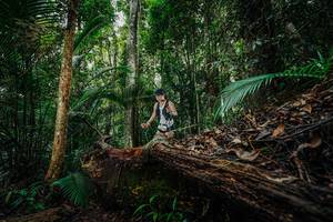 BIB: 
                            <button type="button" onclick="openModal(26425561)" class="btn btn-primary btn-sm float-right btn-popup" data-toggle="modal" data-target=".modal-high-quality">
                        <i class="fas fa-shopping-cart"></i> Add to Cart
                    </button>
                                            <button type="button" onclick="isThisMe(26425561, true)" class="btn btn-success btn-sm float-right btn-popup btn-isme hidden" data-toggle="tooltip" data-placement="bottom" title="นี่คือรูปของคุณใช่ไหม คลิกที่นี่เพื่อเอาเข้าอัลบั้ม">
                        <i class="fas fa-plus"></i> Add to album
                    </button>
                    <button type="button" onclick="isThisMe(26425561, false)" class="btn btn-warning btn-sm float-right btn-popup btn-isnotme hidden">
                        <i class="fas fa-ban"></i> Remove from album
                    </button>