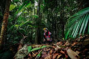 BIB: 
                            <button type="button" onclick="openModal(26423327)" class="btn btn-primary btn-sm float-right btn-popup" data-toggle="modal" data-target=".modal-high-quality">
                        <i class="fas fa-shopping-cart"></i> Add to Cart
                    </button>
                                            <button type="button" onclick="isThisMe(26423327, true)" class="btn btn-success btn-sm float-right btn-popup btn-isme hidden" data-toggle="tooltip" data-placement="bottom" title="นี่คือรูปของคุณใช่ไหม คลิกที่นี่เพื่อเอาเข้าอัลบั้ม">
                        <i class="fas fa-plus"></i> Add to album
                    </button>
                    <button type="button" onclick="isThisMe(26423327, false)" class="btn btn-warning btn-sm float-right btn-popup btn-isnotme hidden">
                        <i class="fas fa-ban"></i> Remove from album
                    </button>