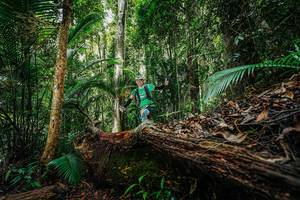 BIB: 
                            <button type="button" onclick="openModal(26425730)" class="btn btn-primary btn-sm float-right btn-popup" data-toggle="modal" data-target=".modal-high-quality">
                        <i class="fas fa-shopping-cart"></i> Add to Cart
                    </button>
                                            <button type="button" onclick="isThisMe(26425730, true)" class="btn btn-success btn-sm float-right btn-popup btn-isme hidden" data-toggle="tooltip" data-placement="bottom" title="นี่คือรูปของคุณใช่ไหม คลิกที่นี่เพื่อเอาเข้าอัลบั้ม">
                        <i class="fas fa-plus"></i> Add to album
                    </button>
                    <button type="button" onclick="isThisMe(26425730, false)" class="btn btn-warning btn-sm float-right btn-popup btn-isnotme hidden">
                        <i class="fas fa-ban"></i> Remove from album
                    </button>