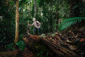 BIB: 
                            <button type="button" onclick="openModal(26426367)" class="btn btn-primary btn-sm float-right btn-popup" data-toggle="modal" data-target=".modal-high-quality">
                        <i class="fas fa-shopping-cart"></i> Add to Cart
                    </button>
                                            <button type="button" onclick="isThisMe(26426367, true)" class="btn btn-success btn-sm float-right btn-popup btn-isme hidden" data-toggle="tooltip" data-placement="bottom" title="นี่คือรูปของคุณใช่ไหม คลิกที่นี่เพื่อเอาเข้าอัลบั้ม">
                        <i class="fas fa-plus"></i> Add to album
                    </button>
                    <button type="button" onclick="isThisMe(26426367, false)" class="btn btn-warning btn-sm float-right btn-popup btn-isnotme hidden">
                        <i class="fas fa-ban"></i> Remove from album
                    </button>