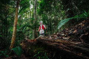 BIB: 
                            <button type="button" onclick="openModal(26424983)" class="btn btn-primary btn-sm float-right btn-popup" data-toggle="modal" data-target=".modal-high-quality">
                        <i class="fas fa-shopping-cart"></i> Add to Cart
                    </button>
                                            <button type="button" onclick="isThisMe(26424983, true)" class="btn btn-success btn-sm float-right btn-popup btn-isme hidden" data-toggle="tooltip" data-placement="bottom" title="นี่คือรูปของคุณใช่ไหม คลิกที่นี่เพื่อเอาเข้าอัลบั้ม">
                        <i class="fas fa-plus"></i> Add to album
                    </button>
                    <button type="button" onclick="isThisMe(26424983, false)" class="btn btn-warning btn-sm float-right btn-popup btn-isnotme hidden">
                        <i class="fas fa-ban"></i> Remove from album
                    </button>