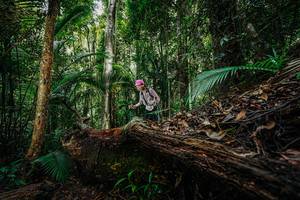 BIB: 
                            <button type="button" onclick="openModal(26425637)" class="btn btn-primary btn-sm float-right btn-popup" data-toggle="modal" data-target=".modal-high-quality">
                        <i class="fas fa-shopping-cart"></i> Add to Cart
                    </button>
                                            <button type="button" onclick="isThisMe(26425637, true)" class="btn btn-success btn-sm float-right btn-popup btn-isme hidden" data-toggle="tooltip" data-placement="bottom" title="นี่คือรูปของคุณใช่ไหม คลิกที่นี่เพื่อเอาเข้าอัลบั้ม">
                        <i class="fas fa-plus"></i> Add to album
                    </button>
                    <button type="button" onclick="isThisMe(26425637, false)" class="btn btn-warning btn-sm float-right btn-popup btn-isnotme hidden">
                        <i class="fas fa-ban"></i> Remove from album
                    </button>