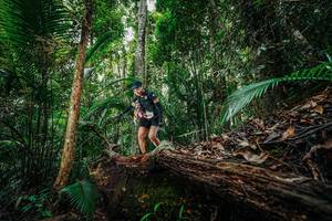 BIB: 
                            <button type="button" onclick="openModal(26425153)" class="btn btn-primary btn-sm float-right btn-popup" data-toggle="modal" data-target=".modal-high-quality">
                        <i class="fas fa-shopping-cart"></i> Add to Cart
                    </button>
                                            <button type="button" onclick="isThisMe(26425153, true)" class="btn btn-success btn-sm float-right btn-popup btn-isme hidden" data-toggle="tooltip" data-placement="bottom" title="นี่คือรูปของคุณใช่ไหม คลิกที่นี่เพื่อเอาเข้าอัลบั้ม">
                        <i class="fas fa-plus"></i> Add to album
                    </button>
                    <button type="button" onclick="isThisMe(26425153, false)" class="btn btn-warning btn-sm float-right btn-popup btn-isnotme hidden">
                        <i class="fas fa-ban"></i> Remove from album
                    </button>