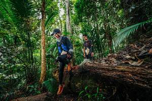 BIB: 
                            <button type="button" onclick="openModal(26425145)" class="btn btn-primary btn-sm float-right btn-popup" data-toggle="modal" data-target=".modal-high-quality">
                        <i class="fas fa-shopping-cart"></i> Add to Cart
                    </button>
                                            <button type="button" onclick="isThisMe(26425145, true)" class="btn btn-success btn-sm float-right btn-popup btn-isme hidden" data-toggle="tooltip" data-placement="bottom" title="นี่คือรูปของคุณใช่ไหม คลิกที่นี่เพื่อเอาเข้าอัลบั้ม">
                        <i class="fas fa-plus"></i> Add to album
                    </button>
                    <button type="button" onclick="isThisMe(26425145, false)" class="btn btn-warning btn-sm float-right btn-popup btn-isnotme hidden">
                        <i class="fas fa-ban"></i> Remove from album
                    </button>