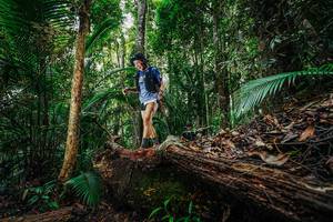 BIB: 
                            <button type="button" onclick="openModal(26425691)" class="btn btn-primary btn-sm float-right btn-popup" data-toggle="modal" data-target=".modal-high-quality">
                        <i class="fas fa-shopping-cart"></i> Add to Cart
                    </button>
                                            <button type="button" onclick="isThisMe(26425691, true)" class="btn btn-success btn-sm float-right btn-popup btn-isme hidden" data-toggle="tooltip" data-placement="bottom" title="นี่คือรูปของคุณใช่ไหม คลิกที่นี่เพื่อเอาเข้าอัลบั้ม">
                        <i class="fas fa-plus"></i> Add to album
                    </button>
                    <button type="button" onclick="isThisMe(26425691, false)" class="btn btn-warning btn-sm float-right btn-popup btn-isnotme hidden">
                        <i class="fas fa-ban"></i> Remove from album
                    </button>