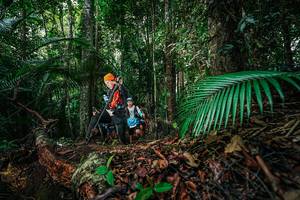 BIB: 
                            <button type="button" onclick="openModal(26427657)" class="btn btn-primary btn-sm float-right btn-popup" data-toggle="modal" data-target=".modal-high-quality">
                        <i class="fas fa-shopping-cart"></i> Add to Cart
                    </button>
                                            <button type="button" onclick="isThisMe(26427657, true)" class="btn btn-success btn-sm float-right btn-popup btn-isme hidden" data-toggle="tooltip" data-placement="bottom" title="นี่คือรูปของคุณใช่ไหม คลิกที่นี่เพื่อเอาเข้าอัลบั้ม">
                        <i class="fas fa-plus"></i> Add to album
                    </button>
                    <button type="button" onclick="isThisMe(26427657, false)" class="btn btn-warning btn-sm float-right btn-popup btn-isnotme hidden">
                        <i class="fas fa-ban"></i> Remove from album
                    </button>