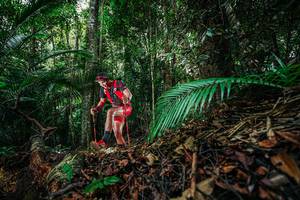 BIB: 
                            <button type="button" onclick="openModal(26427705)" class="btn btn-primary btn-sm float-right btn-popup" data-toggle="modal" data-target=".modal-high-quality">
                        <i class="fas fa-shopping-cart"></i> Add to Cart
                    </button>
                                            <button type="button" onclick="isThisMe(26427705, true)" class="btn btn-success btn-sm float-right btn-popup btn-isme hidden" data-toggle="tooltip" data-placement="bottom" title="นี่คือรูปของคุณใช่ไหม คลิกที่นี่เพื่อเอาเข้าอัลบั้ม">
                        <i class="fas fa-plus"></i> Add to album
                    </button>
                    <button type="button" onclick="isThisMe(26427705, false)" class="btn btn-warning btn-sm float-right btn-popup btn-isnotme hidden">
                        <i class="fas fa-ban"></i> Remove from album
                    </button>