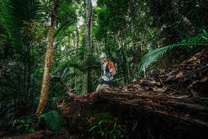 BIB: 
                            <button type="button" onclick="openModal(26425164)" class="btn btn-primary btn-sm float-right btn-popup" data-toggle="modal" data-target=".modal-high-quality">
                        <i class="fas fa-shopping-cart"></i> Add to Cart
                    </button>
                                            <button type="button" onclick="isThisMe(26425164, true)" class="btn btn-success btn-sm float-right btn-popup btn-isme hidden" data-toggle="tooltip" data-placement="bottom" title="นี่คือรูปของคุณใช่ไหม คลิกที่นี่เพื่อเอาเข้าอัลบั้ม">
                        <i class="fas fa-plus"></i> Add to album
                    </button>
                    <button type="button" onclick="isThisMe(26425164, false)" class="btn btn-warning btn-sm float-right btn-popup btn-isnotme hidden">
                        <i class="fas fa-ban"></i> Remove from album
                    </button>