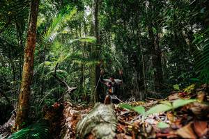 BIB: 
                            <button type="button" onclick="openModal(26423254)" class="btn btn-primary btn-sm float-right btn-popup" data-toggle="modal" data-target=".modal-high-quality">
                        <i class="fas fa-shopping-cart"></i> Add to Cart
                    </button>
                                            <button type="button" onclick="isThisMe(26423254, true)" class="btn btn-success btn-sm float-right btn-popup btn-isme hidden" data-toggle="tooltip" data-placement="bottom" title="นี่คือรูปของคุณใช่ไหม คลิกที่นี่เพื่อเอาเข้าอัลบั้ม">
                        <i class="fas fa-plus"></i> Add to album
                    </button>
                    <button type="button" onclick="isThisMe(26423254, false)" class="btn btn-warning btn-sm float-right btn-popup btn-isnotme hidden">
                        <i class="fas fa-ban"></i> Remove from album
                    </button>