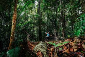 BIB: 
                            <button type="button" onclick="openModal(26421933)" class="btn btn-primary btn-sm float-right btn-popup" data-toggle="modal" data-target=".modal-high-quality">
                        <i class="fas fa-shopping-cart"></i> Add to Cart
                    </button>
                                            <button type="button" onclick="isThisMe(26421933, true)" class="btn btn-success btn-sm float-right btn-popup btn-isme hidden" data-toggle="tooltip" data-placement="bottom" title="นี่คือรูปของคุณใช่ไหม คลิกที่นี่เพื่อเอาเข้าอัลบั้ม">
                        <i class="fas fa-plus"></i> Add to album
                    </button>
                    <button type="button" onclick="isThisMe(26421933, false)" class="btn btn-warning btn-sm float-right btn-popup btn-isnotme hidden">
                        <i class="fas fa-ban"></i> Remove from album
                    </button>