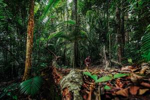 BIB: 
                            <button type="button" onclick="openModal(26422344)" class="btn btn-primary btn-sm float-right btn-popup" data-toggle="modal" data-target=".modal-high-quality">
                        <i class="fas fa-shopping-cart"></i> Add to Cart
                    </button>
                                            <button type="button" onclick="isThisMe(26422344, true)" class="btn btn-success btn-sm float-right btn-popup btn-isme hidden" data-toggle="tooltip" data-placement="bottom" title="นี่คือรูปของคุณใช่ไหม คลิกที่นี่เพื่อเอาเข้าอัลบั้ม">
                        <i class="fas fa-plus"></i> Add to album
                    </button>
                    <button type="button" onclick="isThisMe(26422344, false)" class="btn btn-warning btn-sm float-right btn-popup btn-isnotme hidden">
                        <i class="fas fa-ban"></i> Remove from album
                    </button>