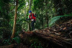 BIB: 
                            <button type="button" onclick="openModal(26425829)" class="btn btn-primary btn-sm float-right btn-popup" data-toggle="modal" data-target=".modal-high-quality">
                        <i class="fas fa-shopping-cart"></i> Add to Cart
                    </button>
                                            <button type="button" onclick="isThisMe(26425829, true)" class="btn btn-success btn-sm float-right btn-popup btn-isme hidden" data-toggle="tooltip" data-placement="bottom" title="นี่คือรูปของคุณใช่ไหม คลิกที่นี่เพื่อเอาเข้าอัลบั้ม">
                        <i class="fas fa-plus"></i> Add to album
                    </button>
                    <button type="button" onclick="isThisMe(26425829, false)" class="btn btn-warning btn-sm float-right btn-popup btn-isnotme hidden">
                        <i class="fas fa-ban"></i> Remove from album
                    </button>