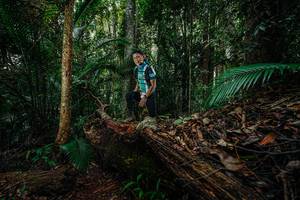 BIB: 
                            <button type="button" onclick="openModal(26426465)" class="btn btn-primary btn-sm float-right btn-popup" data-toggle="modal" data-target=".modal-high-quality">
                        <i class="fas fa-shopping-cart"></i> Add to Cart
                    </button>
                                            <button type="button" onclick="isThisMe(26426465, true)" class="btn btn-success btn-sm float-right btn-popup btn-isme hidden" data-toggle="tooltip" data-placement="bottom" title="นี่คือรูปของคุณใช่ไหม คลิกที่นี่เพื่อเอาเข้าอัลบั้ม">
                        <i class="fas fa-plus"></i> Add to album
                    </button>
                    <button type="button" onclick="isThisMe(26426465, false)" class="btn btn-warning btn-sm float-right btn-popup btn-isnotme hidden">
                        <i class="fas fa-ban"></i> Remove from album
                    </button>