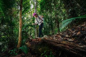 BIB: 
                            <button type="button" onclick="openModal(26425646)" class="btn btn-primary btn-sm float-right btn-popup" data-toggle="modal" data-target=".modal-high-quality">
                        <i class="fas fa-shopping-cart"></i> Add to Cart
                    </button>
                                            <button type="button" onclick="isThisMe(26425646, true)" class="btn btn-success btn-sm float-right btn-popup btn-isme hidden" data-toggle="tooltip" data-placement="bottom" title="นี่คือรูปของคุณใช่ไหม คลิกที่นี่เพื่อเอาเข้าอัลบั้ม">
                        <i class="fas fa-plus"></i> Add to album
                    </button>
                    <button type="button" onclick="isThisMe(26425646, false)" class="btn btn-warning btn-sm float-right btn-popup btn-isnotme hidden">
                        <i class="fas fa-ban"></i> Remove from album
                    </button>