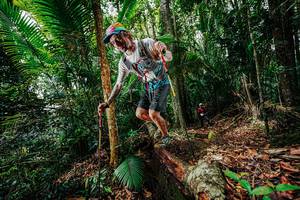 BIB: 
                            <button type="button" onclick="openModal(26422483)" class="btn btn-primary btn-sm float-right btn-popup" data-toggle="modal" data-target=".modal-high-quality">
                        <i class="fas fa-shopping-cart"></i> Add to Cart
                    </button>
                                            <button type="button" onclick="isThisMe(26422483, true)" class="btn btn-success btn-sm float-right btn-popup btn-isme hidden" data-toggle="tooltip" data-placement="bottom" title="นี่คือรูปของคุณใช่ไหม คลิกที่นี่เพื่อเอาเข้าอัลบั้ม">
                        <i class="fas fa-plus"></i> Add to album
                    </button>
                    <button type="button" onclick="isThisMe(26422483, false)" class="btn btn-warning btn-sm float-right btn-popup btn-isnotme hidden">
                        <i class="fas fa-ban"></i> Remove from album
                    </button>