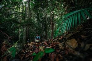 BIB: 
                            <button type="button" onclick="openModal(26432105)" class="btn btn-primary btn-sm float-right btn-popup" data-toggle="modal" data-target=".modal-high-quality">
                        <i class="fas fa-shopping-cart"></i> Add to Cart
                    </button>
                                            <button type="button" onclick="isThisMe(26432105, true)" class="btn btn-success btn-sm float-right btn-popup btn-isme hidden" data-toggle="tooltip" data-placement="bottom" title="นี่คือรูปของคุณใช่ไหม คลิกที่นี่เพื่อเอาเข้าอัลบั้ม">
                        <i class="fas fa-plus"></i> Add to album
                    </button>
                    <button type="button" onclick="isThisMe(26432105, false)" class="btn btn-warning btn-sm float-right btn-popup btn-isnotme hidden">
                        <i class="fas fa-ban"></i> Remove from album
                    </button>