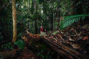 BIB: 
                            <button type="button" onclick="openModal(26426344)" class="btn btn-primary btn-sm float-right btn-popup" data-toggle="modal" data-target=".modal-high-quality">
                        <i class="fas fa-shopping-cart"></i> Add to Cart
                    </button>
                                            <button type="button" onclick="isThisMe(26426344, true)" class="btn btn-success btn-sm float-right btn-popup btn-isme hidden" data-toggle="tooltip" data-placement="bottom" title="นี่คือรูปของคุณใช่ไหม คลิกที่นี่เพื่อเอาเข้าอัลบั้ม">
                        <i class="fas fa-plus"></i> Add to album
                    </button>
                    <button type="button" onclick="isThisMe(26426344, false)" class="btn btn-warning btn-sm float-right btn-popup btn-isnotme hidden">
                        <i class="fas fa-ban"></i> Remove from album
                    </button>