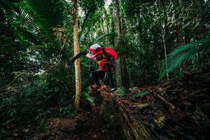 BIB: 
                            <button type="button" onclick="openModal(26432333)" class="btn btn-primary btn-sm float-right btn-popup" data-toggle="modal" data-target=".modal-high-quality">
                        <i class="fas fa-shopping-cart"></i> Add to Cart
                    </button>
                                            <button type="button" onclick="isThisMe(26432333, true)" class="btn btn-success btn-sm float-right btn-popup btn-isme hidden" data-toggle="tooltip" data-placement="bottom" title="นี่คือรูปของคุณใช่ไหม คลิกที่นี่เพื่อเอาเข้าอัลบั้ม">
                        <i class="fas fa-plus"></i> Add to album
                    </button>
                    <button type="button" onclick="isThisMe(26432333, false)" class="btn btn-warning btn-sm float-right btn-popup btn-isnotme hidden">
                        <i class="fas fa-ban"></i> Remove from album
                    </button>