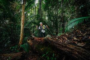 BIB: 
                            <button type="button" onclick="openModal(26426154)" class="btn btn-primary btn-sm float-right btn-popup" data-toggle="modal" data-target=".modal-high-quality">
                        <i class="fas fa-shopping-cart"></i> Add to Cart
                    </button>
                                            <button type="button" onclick="isThisMe(26426154, true)" class="btn btn-success btn-sm float-right btn-popup btn-isme hidden" data-toggle="tooltip" data-placement="bottom" title="นี่คือรูปของคุณใช่ไหม คลิกที่นี่เพื่อเอาเข้าอัลบั้ม">
                        <i class="fas fa-plus"></i> Add to album
                    </button>
                    <button type="button" onclick="isThisMe(26426154, false)" class="btn btn-warning btn-sm float-right btn-popup btn-isnotme hidden">
                        <i class="fas fa-ban"></i> Remove from album
                    </button>