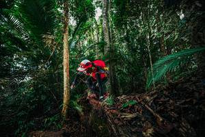 BIB: 
                            <button type="button" onclick="openModal(26432319)" class="btn btn-primary btn-sm float-right btn-popup" data-toggle="modal" data-target=".modal-high-quality">
                        <i class="fas fa-shopping-cart"></i> Add to Cart
                    </button>
                                            <button type="button" onclick="isThisMe(26432319, true)" class="btn btn-success btn-sm float-right btn-popup btn-isme hidden" data-toggle="tooltip" data-placement="bottom" title="นี่คือรูปของคุณใช่ไหม คลิกที่นี่เพื่อเอาเข้าอัลบั้ม">
                        <i class="fas fa-plus"></i> Add to album
                    </button>
                    <button type="button" onclick="isThisMe(26432319, false)" class="btn btn-warning btn-sm float-right btn-popup btn-isnotme hidden">
                        <i class="fas fa-ban"></i> Remove from album
                    </button>