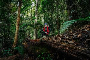 BIB: 
                            <button type="button" onclick="openModal(26425807)" class="btn btn-primary btn-sm float-right btn-popup" data-toggle="modal" data-target=".modal-high-quality">
                        <i class="fas fa-shopping-cart"></i> Add to Cart
                    </button>
                                            <button type="button" onclick="isThisMe(26425807, true)" class="btn btn-success btn-sm float-right btn-popup btn-isme hidden" data-toggle="tooltip" data-placement="bottom" title="นี่คือรูปของคุณใช่ไหม คลิกที่นี่เพื่อเอาเข้าอัลบั้ม">
                        <i class="fas fa-plus"></i> Add to album
                    </button>
                    <button type="button" onclick="isThisMe(26425807, false)" class="btn btn-warning btn-sm float-right btn-popup btn-isnotme hidden">
                        <i class="fas fa-ban"></i> Remove from album
                    </button>