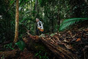 BIB: 
                            <button type="button" onclick="openModal(26426552)" class="btn btn-primary btn-sm float-right btn-popup" data-toggle="modal" data-target=".modal-high-quality">
                        <i class="fas fa-shopping-cart"></i> Add to Cart
                    </button>
                                            <button type="button" onclick="isThisMe(26426552, true)" class="btn btn-success btn-sm float-right btn-popup btn-isme hidden" data-toggle="tooltip" data-placement="bottom" title="นี่คือรูปของคุณใช่ไหม คลิกที่นี่เพื่อเอาเข้าอัลบั้ม">
                        <i class="fas fa-plus"></i> Add to album
                    </button>
                    <button type="button" onclick="isThisMe(26426552, false)" class="btn btn-warning btn-sm float-right btn-popup btn-isnotme hidden">
                        <i class="fas fa-ban"></i> Remove from album
                    </button>