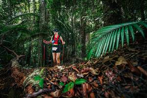 BIB: 
                            <button type="button" onclick="openModal(26430035)" class="btn btn-primary btn-sm float-right btn-popup" data-toggle="modal" data-target=".modal-high-quality">
                        <i class="fas fa-shopping-cart"></i> Add to Cart
                    </button>
                                            <button type="button" onclick="isThisMe(26430035, true)" class="btn btn-success btn-sm float-right btn-popup btn-isme hidden" data-toggle="tooltip" data-placement="bottom" title="นี่คือรูปของคุณใช่ไหม คลิกที่นี่เพื่อเอาเข้าอัลบั้ม">
                        <i class="fas fa-plus"></i> Add to album
                    </button>
                    <button type="button" onclick="isThisMe(26430035, false)" class="btn btn-warning btn-sm float-right btn-popup btn-isnotme hidden">
                        <i class="fas fa-ban"></i> Remove from album
                    </button>