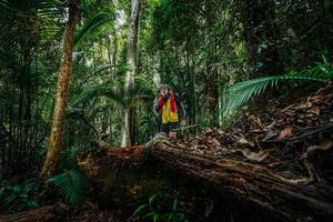 BIB: 
                            <button type="button" onclick="openModal(26425770)" class="btn btn-primary btn-sm float-right btn-popup" data-toggle="modal" data-target=".modal-high-quality">
                        <i class="fas fa-shopping-cart"></i> Add to Cart
                    </button>
                                            <button type="button" onclick="isThisMe(26425770, true)" class="btn btn-success btn-sm float-right btn-popup btn-isme hidden" data-toggle="tooltip" data-placement="bottom" title="นี่คือรูปของคุณใช่ไหม คลิกที่นี่เพื่อเอาเข้าอัลบั้ม">
                        <i class="fas fa-plus"></i> Add to album
                    </button>
                    <button type="button" onclick="isThisMe(26425770, false)" class="btn btn-warning btn-sm float-right btn-popup btn-isnotme hidden">
                        <i class="fas fa-ban"></i> Remove from album
                    </button>