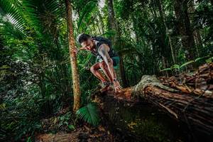 BIB: 
                            <button type="button" onclick="openModal(26423566)" class="btn btn-primary btn-sm float-right btn-popup" data-toggle="modal" data-target=".modal-high-quality">
                        <i class="fas fa-shopping-cart"></i> Add to Cart
                    </button>
                                            <button type="button" onclick="isThisMe(26423566, true)" class="btn btn-success btn-sm float-right btn-popup btn-isme hidden" data-toggle="tooltip" data-placement="bottom" title="นี่คือรูปของคุณใช่ไหม คลิกที่นี่เพื่อเอาเข้าอัลบั้ม">
                        <i class="fas fa-plus"></i> Add to album
                    </button>
                    <button type="button" onclick="isThisMe(26423566, false)" class="btn btn-warning btn-sm float-right btn-popup btn-isnotme hidden">
                        <i class="fas fa-ban"></i> Remove from album
                    </button>