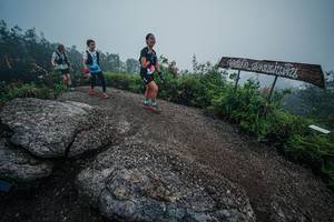 BIB: 
                            <button type="button" onclick="openModal(26418222)" class="btn btn-primary btn-sm float-right btn-popup" data-toggle="modal" data-target=".modal-high-quality">
                        <i class="fas fa-shopping-cart"></i> Add to Cart
                    </button>
                                            <button type="button" onclick="isThisMe(26418222, true)" class="btn btn-success btn-sm float-right btn-popup btn-isme hidden" data-toggle="tooltip" data-placement="bottom" title="นี่คือรูปของคุณใช่ไหม คลิกที่นี่เพื่อเอาเข้าอัลบั้ม">
                        <i class="fas fa-plus"></i> Add to album
                    </button>
                    <button type="button" onclick="isThisMe(26418222, false)" class="btn btn-warning btn-sm float-right btn-popup btn-isnotme hidden">
                        <i class="fas fa-ban"></i> Remove from album
                    </button>