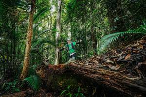 BIB: 
                            <button type="button" onclick="openModal(26425737)" class="btn btn-primary btn-sm float-right btn-popup" data-toggle="modal" data-target=".modal-high-quality">
                        <i class="fas fa-shopping-cart"></i> Add to Cart
                    </button>
                                            <button type="button" onclick="isThisMe(26425737, true)" class="btn btn-success btn-sm float-right btn-popup btn-isme hidden" data-toggle="tooltip" data-placement="bottom" title="นี่คือรูปของคุณใช่ไหม คลิกที่นี่เพื่อเอาเข้าอัลบั้ม">
                        <i class="fas fa-plus"></i> Add to album
                    </button>
                    <button type="button" onclick="isThisMe(26425737, false)" class="btn btn-warning btn-sm float-right btn-popup btn-isnotme hidden">
                        <i class="fas fa-ban"></i> Remove from album
                    </button>