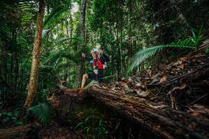 BIB: 
                            <button type="button" onclick="openModal(26425462)" class="btn btn-primary btn-sm float-right btn-popup" data-toggle="modal" data-target=".modal-high-quality">
                        <i class="fas fa-shopping-cart"></i> Add to Cart
                    </button>
                                            <button type="button" onclick="isThisMe(26425462, true)" class="btn btn-success btn-sm float-right btn-popup btn-isme hidden" data-toggle="tooltip" data-placement="bottom" title="นี่คือรูปของคุณใช่ไหม คลิกที่นี่เพื่อเอาเข้าอัลบั้ม">
                        <i class="fas fa-plus"></i> Add to album
                    </button>
                    <button type="button" onclick="isThisMe(26425462, false)" class="btn btn-warning btn-sm float-right btn-popup btn-isnotme hidden">
                        <i class="fas fa-ban"></i> Remove from album
                    </button>