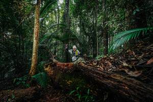 BIB: 
                            <button type="button" onclick="openModal(26426143)" class="btn btn-primary btn-sm float-right btn-popup" data-toggle="modal" data-target=".modal-high-quality">
                        <i class="fas fa-shopping-cart"></i> Add to Cart
                    </button>
                                            <button type="button" onclick="isThisMe(26426143, true)" class="btn btn-success btn-sm float-right btn-popup btn-isme hidden" data-toggle="tooltip" data-placement="bottom" title="นี่คือรูปของคุณใช่ไหม คลิกที่นี่เพื่อเอาเข้าอัลบั้ม">
                        <i class="fas fa-plus"></i> Add to album
                    </button>
                    <button type="button" onclick="isThisMe(26426143, false)" class="btn btn-warning btn-sm float-right btn-popup btn-isnotme hidden">
                        <i class="fas fa-ban"></i> Remove from album
                    </button>