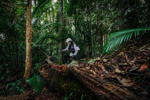 BIB: 
                            <button type="button" onclick="openModal(26426577)" class="btn btn-primary btn-sm float-right btn-popup" data-toggle="modal" data-target=".modal-high-quality">
                        <i class="fas fa-shopping-cart"></i> Add to Cart
                    </button>
                                            <button type="button" onclick="isThisMe(26426577, true)" class="btn btn-success btn-sm float-right btn-popup btn-isme hidden" data-toggle="tooltip" data-placement="bottom" title="นี่คือรูปของคุณใช่ไหม คลิกที่นี่เพื่อเอาเข้าอัลบั้ม">
                        <i class="fas fa-plus"></i> Add to album
                    </button>
                    <button type="button" onclick="isThisMe(26426577, false)" class="btn btn-warning btn-sm float-right btn-popup btn-isnotme hidden">
                        <i class="fas fa-ban"></i> Remove from album
                    </button>