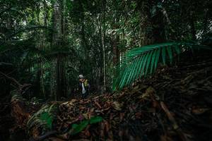 BIB: 
                            <button type="button" onclick="openModal(26431889)" class="btn btn-primary btn-sm float-right btn-popup" data-toggle="modal" data-target=".modal-high-quality">
                        <i class="fas fa-shopping-cart"></i> Add to Cart
                    </button>
                                            <button type="button" onclick="isThisMe(26431889, true)" class="btn btn-success btn-sm float-right btn-popup btn-isme hidden" data-toggle="tooltip" data-placement="bottom" title="นี่คือรูปของคุณใช่ไหม คลิกที่นี่เพื่อเอาเข้าอัลบั้ม">
                        <i class="fas fa-plus"></i> Add to album
                    </button>
                    <button type="button" onclick="isThisMe(26431889, false)" class="btn btn-warning btn-sm float-right btn-popup btn-isnotme hidden">
                        <i class="fas fa-ban"></i> Remove from album
                    </button>