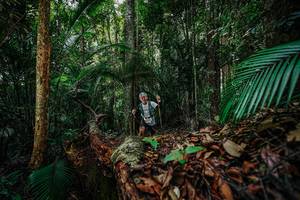 BIB: 
                            <button type="button" onclick="openModal(26426682)" class="btn btn-primary btn-sm float-right btn-popup" data-toggle="modal" data-target=".modal-high-quality">
                        <i class="fas fa-shopping-cart"></i> Add to Cart
                    </button>
                                            <button type="button" onclick="isThisMe(26426682, true)" class="btn btn-success btn-sm float-right btn-popup btn-isme hidden" data-toggle="tooltip" data-placement="bottom" title="นี่คือรูปของคุณใช่ไหม คลิกที่นี่เพื่อเอาเข้าอัลบั้ม">
                        <i class="fas fa-plus"></i> Add to album
                    </button>
                    <button type="button" onclick="isThisMe(26426682, false)" class="btn btn-warning btn-sm float-right btn-popup btn-isnotme hidden">
                        <i class="fas fa-ban"></i> Remove from album
                    </button>