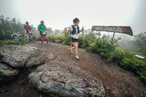 BIB: 
                            <button type="button" onclick="openModal(26420385)" class="btn btn-primary btn-sm float-right btn-popup" data-toggle="modal" data-target=".modal-high-quality">
                        <i class="fas fa-shopping-cart"></i> Add to Cart
                    </button>
                                            <button type="button" onclick="isThisMe(26420385, true)" class="btn btn-success btn-sm float-right btn-popup btn-isme hidden" data-toggle="tooltip" data-placement="bottom" title="นี่คือรูปของคุณใช่ไหม คลิกที่นี่เพื่อเอาเข้าอัลบั้ม">
                        <i class="fas fa-plus"></i> Add to album
                    </button>
                    <button type="button" onclick="isThisMe(26420385, false)" class="btn btn-warning btn-sm float-right btn-popup btn-isnotme hidden">
                        <i class="fas fa-ban"></i> Remove from album
                    </button>