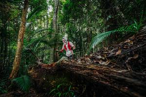 BIB: 
                            <button type="button" onclick="openModal(26424980)" class="btn btn-primary btn-sm float-right btn-popup" data-toggle="modal" data-target=".modal-high-quality">
                        <i class="fas fa-shopping-cart"></i> Add to Cart
                    </button>
                                            <button type="button" onclick="isThisMe(26424980, true)" class="btn btn-success btn-sm float-right btn-popup btn-isme hidden" data-toggle="tooltip" data-placement="bottom" title="นี่คือรูปของคุณใช่ไหม คลิกที่นี่เพื่อเอาเข้าอัลบั้ม">
                        <i class="fas fa-plus"></i> Add to album
                    </button>
                    <button type="button" onclick="isThisMe(26424980, false)" class="btn btn-warning btn-sm float-right btn-popup btn-isnotme hidden">
                        <i class="fas fa-ban"></i> Remove from album
                    </button>