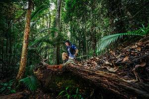 BIB: 
                            <button type="button" onclick="openModal(26425682)" class="btn btn-primary btn-sm float-right btn-popup" data-toggle="modal" data-target=".modal-high-quality">
                        <i class="fas fa-shopping-cart"></i> Add to Cart
                    </button>
                                            <button type="button" onclick="isThisMe(26425682, true)" class="btn btn-success btn-sm float-right btn-popup btn-isme hidden" data-toggle="tooltip" data-placement="bottom" title="นี่คือรูปของคุณใช่ไหม คลิกที่นี่เพื่อเอาเข้าอัลบั้ม">
                        <i class="fas fa-plus"></i> Add to album
                    </button>
                    <button type="button" onclick="isThisMe(26425682, false)" class="btn btn-warning btn-sm float-right btn-popup btn-isnotme hidden">
                        <i class="fas fa-ban"></i> Remove from album
                    </button>