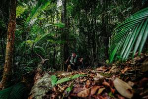 BIB: 
                            <button type="button" onclick="openModal(26423369)" class="btn btn-primary btn-sm float-right btn-popup" data-toggle="modal" data-target=".modal-high-quality">
                        <i class="fas fa-shopping-cart"></i> Add to Cart
                    </button>
                                            <button type="button" onclick="isThisMe(26423369, true)" class="btn btn-success btn-sm float-right btn-popup btn-isme hidden" data-toggle="tooltip" data-placement="bottom" title="นี่คือรูปของคุณใช่ไหม คลิกที่นี่เพื่อเอาเข้าอัลบั้ม">
                        <i class="fas fa-plus"></i> Add to album
                    </button>
                    <button type="button" onclick="isThisMe(26423369, false)" class="btn btn-warning btn-sm float-right btn-popup btn-isnotme hidden">
                        <i class="fas fa-ban"></i> Remove from album
                    </button>