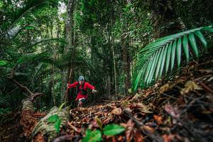 BIB: 
                            <button type="button" onclick="openModal(26427552)" class="btn btn-primary btn-sm float-right btn-popup" data-toggle="modal" data-target=".modal-high-quality">
                        <i class="fas fa-shopping-cart"></i> Add to Cart
                    </button>
                                            <button type="button" onclick="isThisMe(26427552, true)" class="btn btn-success btn-sm float-right btn-popup btn-isme hidden" data-toggle="tooltip" data-placement="bottom" title="นี่คือรูปของคุณใช่ไหม คลิกที่นี่เพื่อเอาเข้าอัลบั้ม">
                        <i class="fas fa-plus"></i> Add to album
                    </button>
                    <button type="button" onclick="isThisMe(26427552, false)" class="btn btn-warning btn-sm float-right btn-popup btn-isnotme hidden">
                        <i class="fas fa-ban"></i> Remove from album
                    </button>