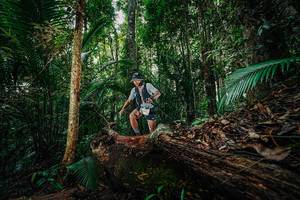 BIB: 
                            <button type="button" onclick="openModal(26426134)" class="btn btn-primary btn-sm float-right btn-popup" data-toggle="modal" data-target=".modal-high-quality">
                        <i class="fas fa-shopping-cart"></i> Add to Cart
                    </button>
                                            <button type="button" onclick="isThisMe(26426134, true)" class="btn btn-success btn-sm float-right btn-popup btn-isme hidden" data-toggle="tooltip" data-placement="bottom" title="นี่คือรูปของคุณใช่ไหม คลิกที่นี่เพื่อเอาเข้าอัลบั้ม">
                        <i class="fas fa-plus"></i> Add to album
                    </button>
                    <button type="button" onclick="isThisMe(26426134, false)" class="btn btn-warning btn-sm float-right btn-popup btn-isnotme hidden">
                        <i class="fas fa-ban"></i> Remove from album
                    </button>