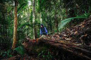 BIB: 
                            <button type="button" onclick="openModal(26425653)" class="btn btn-primary btn-sm float-right btn-popup" data-toggle="modal" data-target=".modal-high-quality">
                        <i class="fas fa-shopping-cart"></i> Add to Cart
                    </button>
                                            <button type="button" onclick="isThisMe(26425653, true)" class="btn btn-success btn-sm float-right btn-popup btn-isme hidden" data-toggle="tooltip" data-placement="bottom" title="นี่คือรูปของคุณใช่ไหม คลิกที่นี่เพื่อเอาเข้าอัลบั้ม">
                        <i class="fas fa-plus"></i> Add to album
                    </button>
                    <button type="button" onclick="isThisMe(26425653, false)" class="btn btn-warning btn-sm float-right btn-popup btn-isnotme hidden">
                        <i class="fas fa-ban"></i> Remove from album
                    </button>